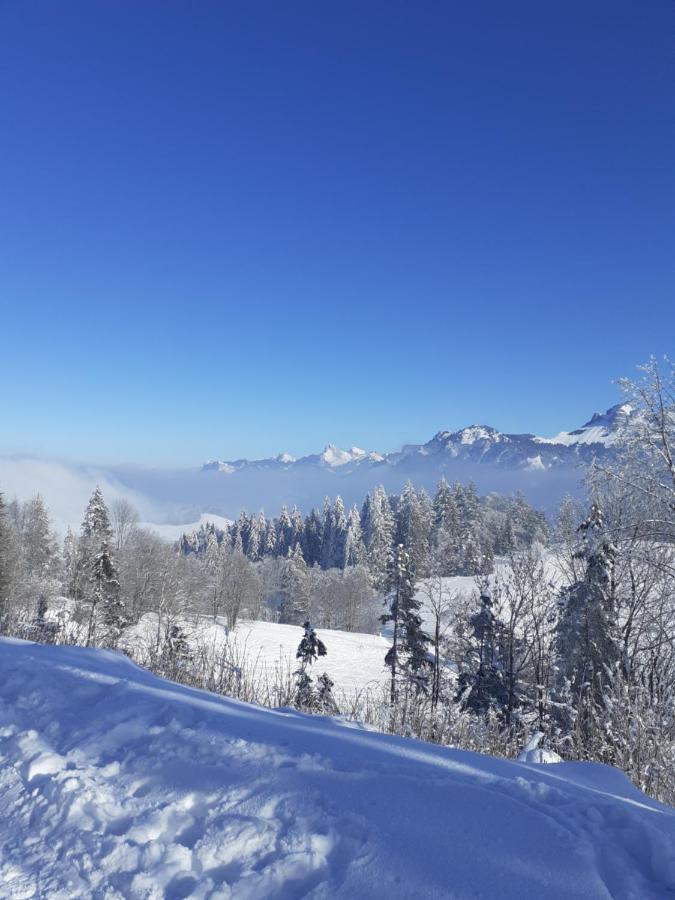 Charmant Appartement A 150 M Des Thermes Et Du Centre Ville Thonon-les-Bains Exterior foto